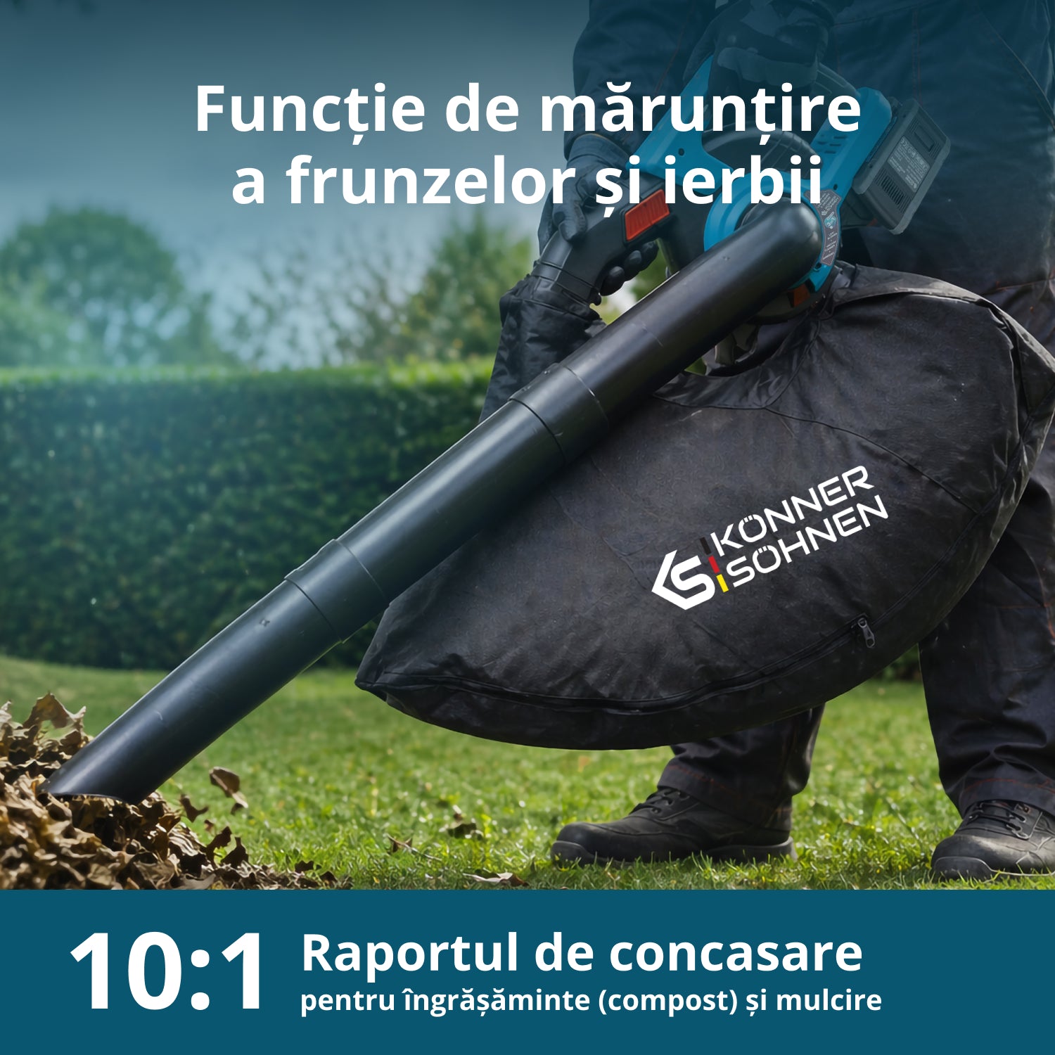 Pachet promoțional pentru tăierea gardurilor vii KS LBV-HT-SET